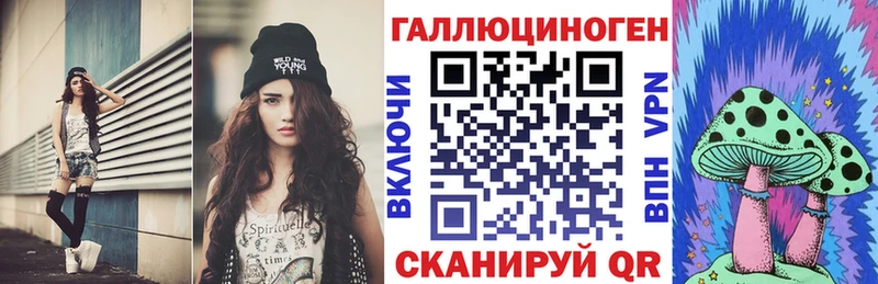 наркотики  Феодосия  Псилоцибиновые грибы Psilocybe 