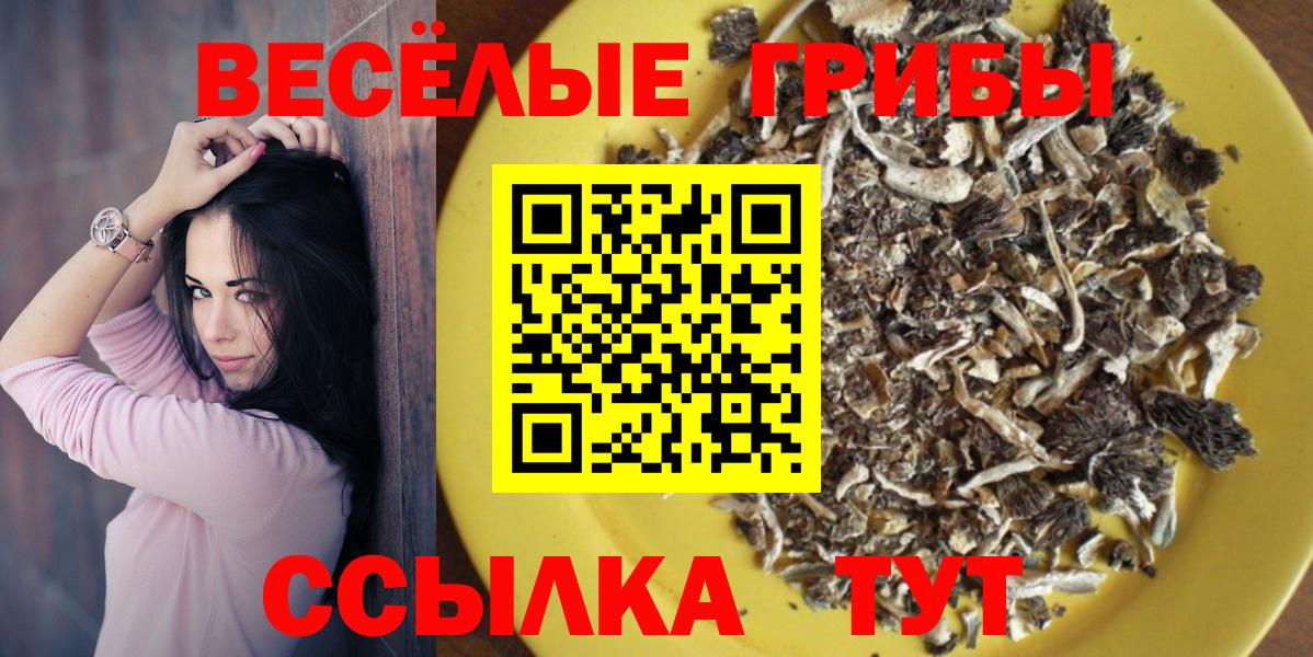Феодосия  Псилоцибиновые грибы Psilocybine cubensis  Галлюциногенные грибы GOLDEN TEACHER  Вход с VPN 